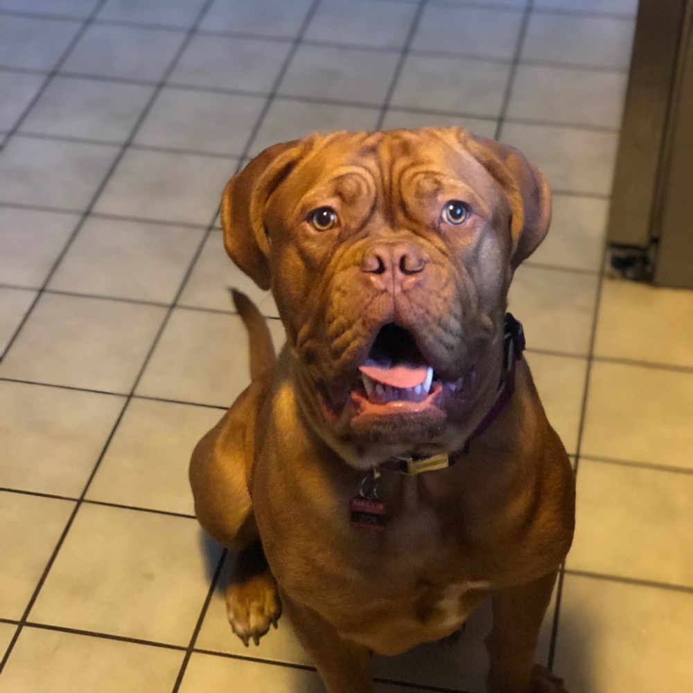 Meet your Posher, Ashley